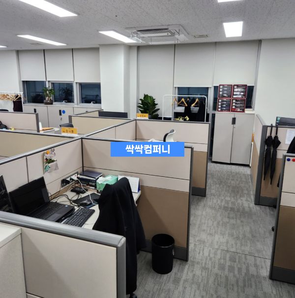 개방형 사무실 공간의 청소 후 모습으로, 정돈된 책상과 의자, 그리고 적절히 배치된 실내 식물이 보입니다.