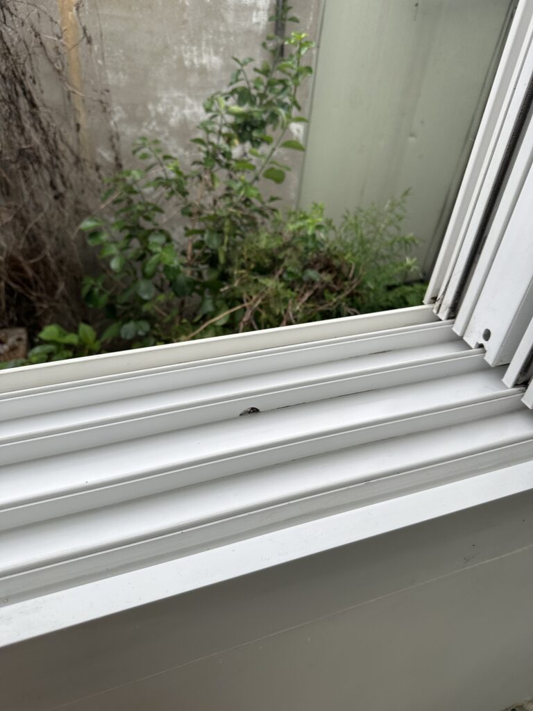 여수 사무실청소 섀시