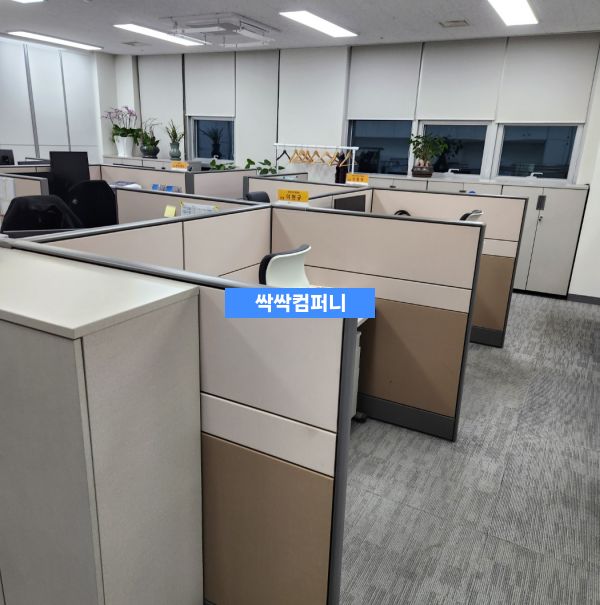 카처 Puzzi 8/1 C 추출기를 사용한 카펫 딥클리닝 과정