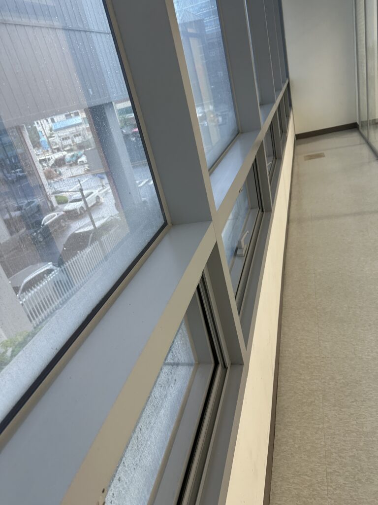 서초구 사무실청소 유리창