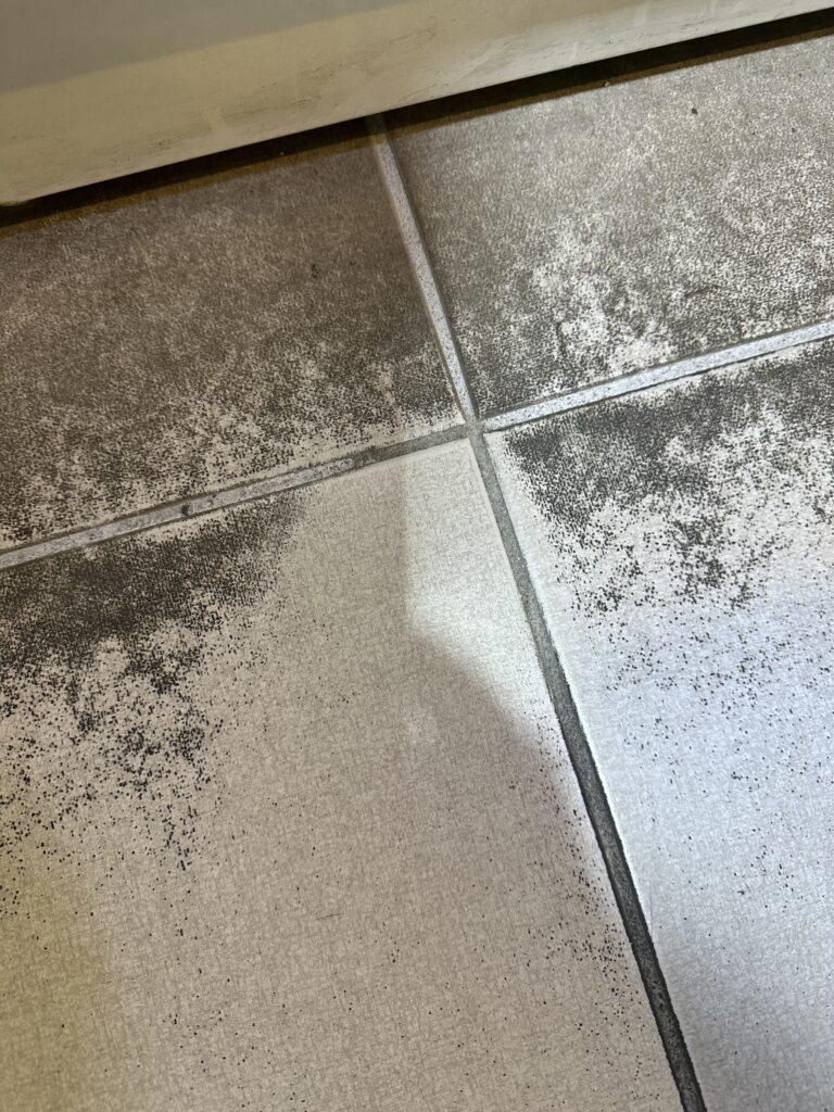 평택 사무실청소 바닥