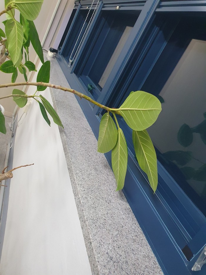 청주 사무실청소 사무실