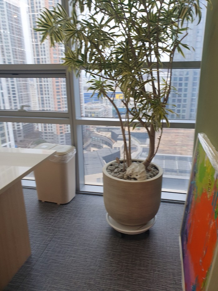 범계 사무실청소 유리창