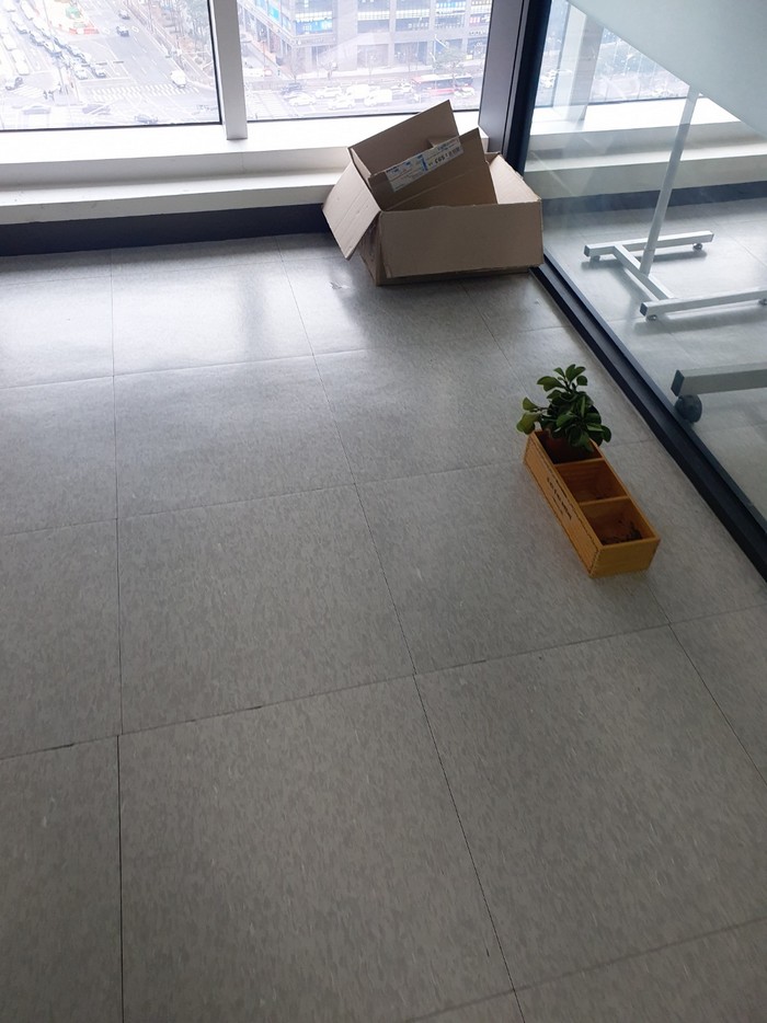 베란다쪽 바닥